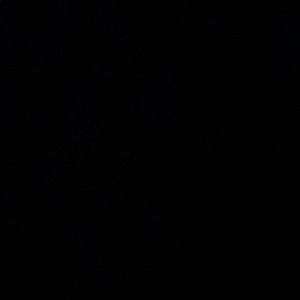 Meet your Posher, Braxton